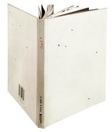JDM071127ants.jpg