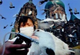 JDM080226pigeonss.jpg