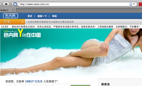 senei.com.cn.jpg