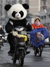 JDM101217panda.jpg