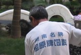 JDM061021quyuan.jpg
