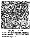 Maze JDM070523chinakids2s.png