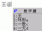 Wang At JDM070820name.png