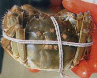 crab1010.jpg