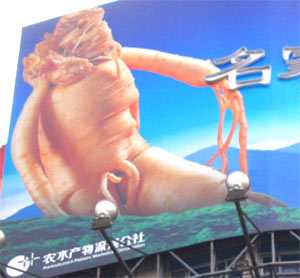 ginseng.jpg