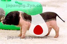 japan002-small-th.jpg