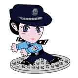 net_cop.jpg