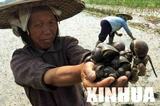 xin_27208032020511402540261.jpg